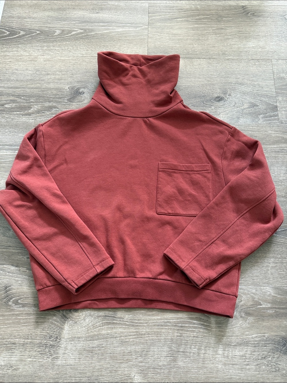 Frank & Oak Turtle Neck Pullover